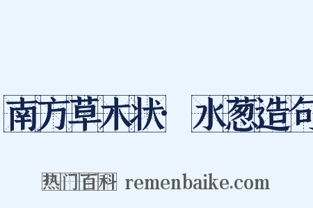 南方草木状·水葱造句是什么意思的图片